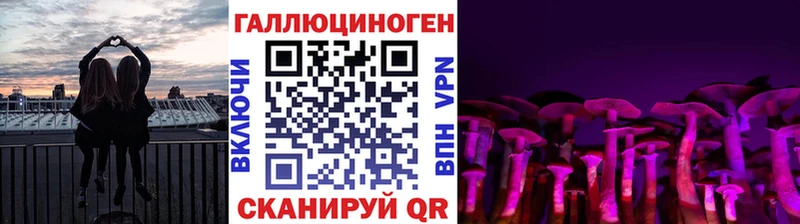 как найти Заозёрный Галлюциногенные грибы MAGIC MUSHROOMS