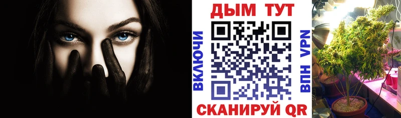 Канабис план  закладка  KRAKEN маркетплейс  Заозёрный 
